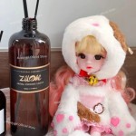 Hiltonitz Carlton Difusor de óleo essencial de hotel aromático para perfumes domésticos ambientador perfumado perfume DIY 500ml